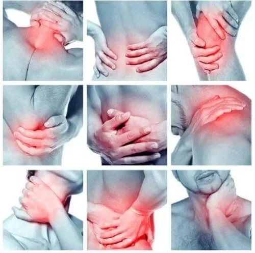 Nano flex : състав само натурални съставки.